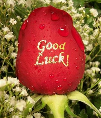 The Good Luck Rose